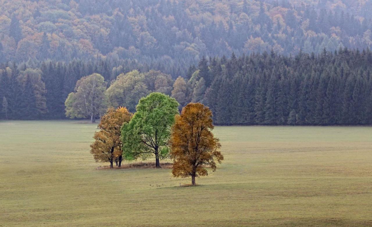 Przystanek Lasówka Exterior foto
