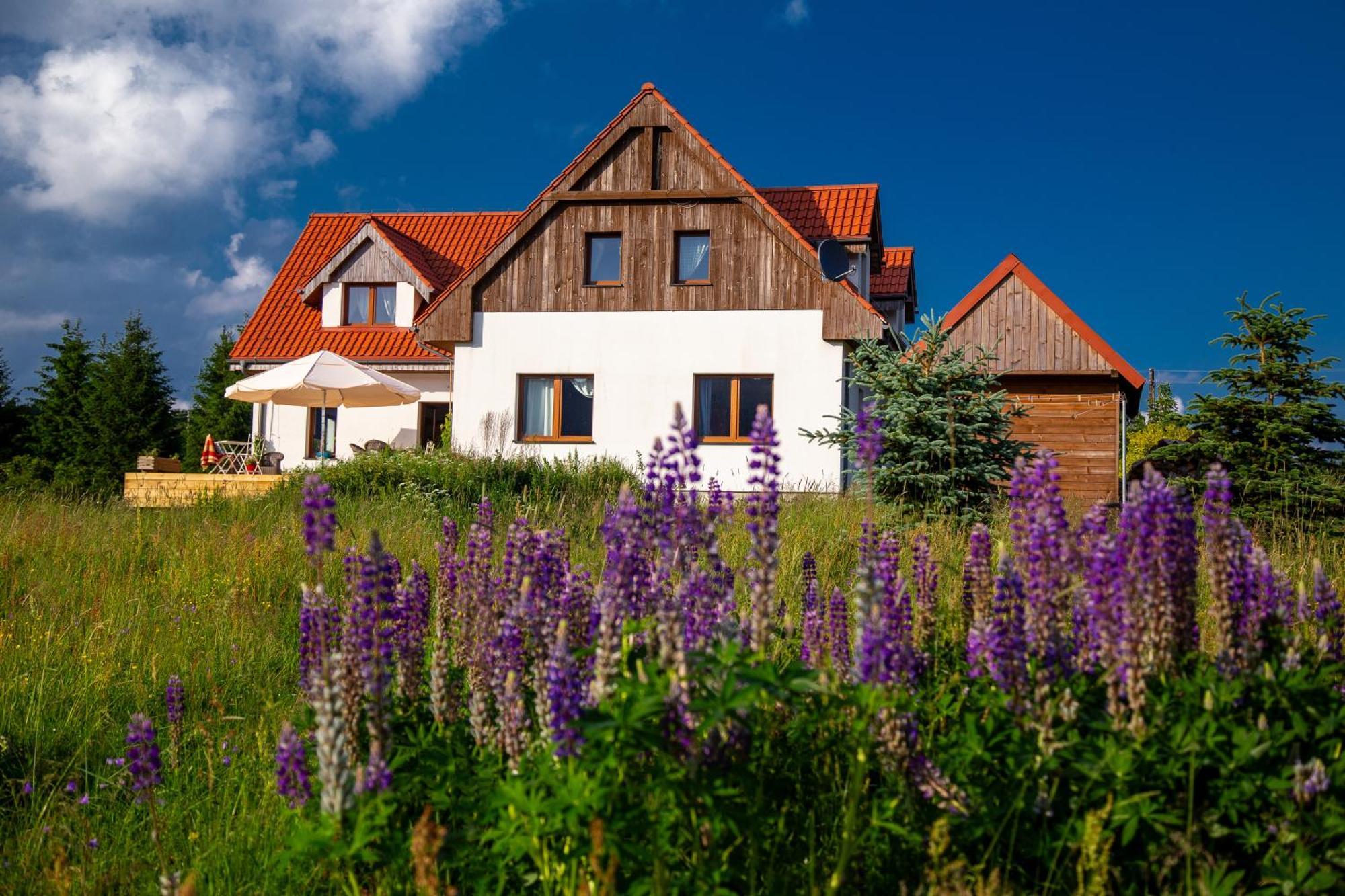 Przystanek Lasówka Exterior foto